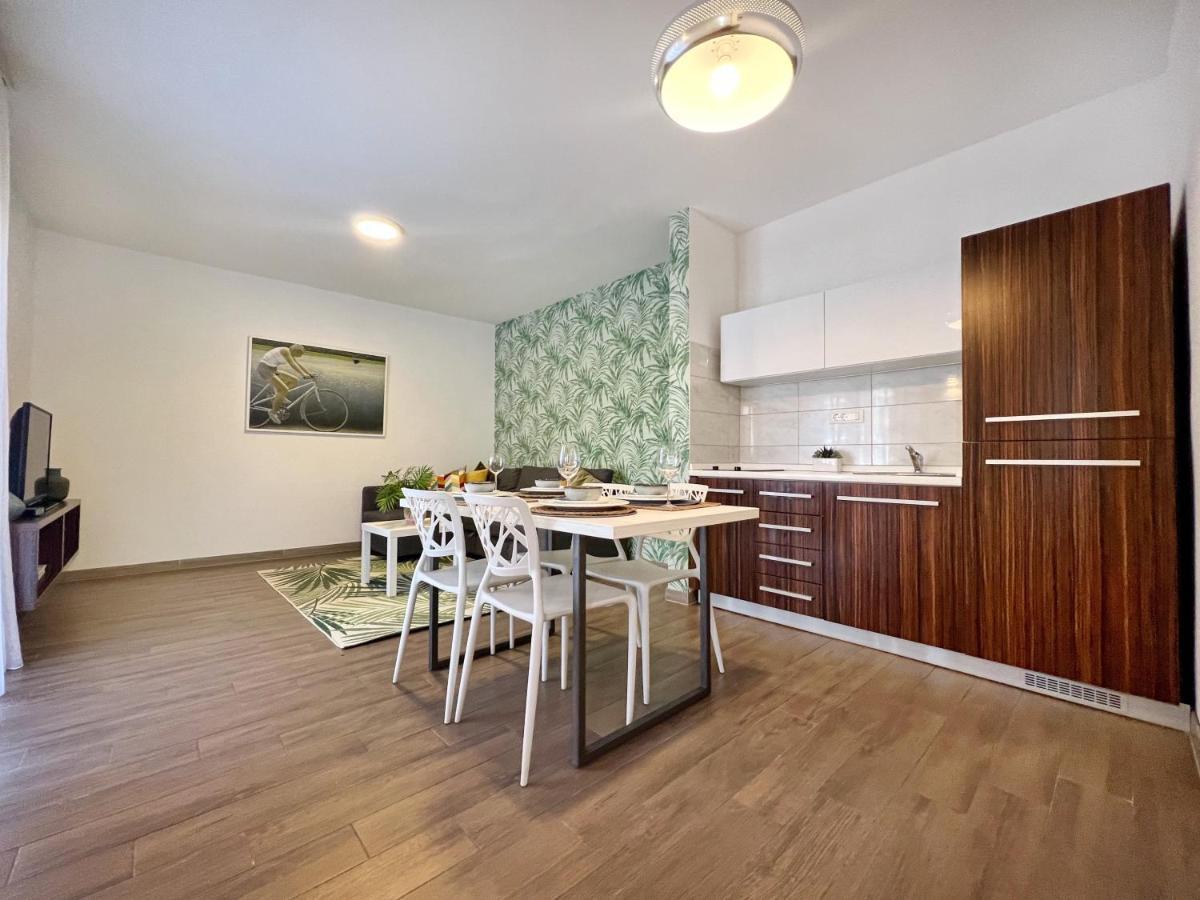 Apartments Teodora Maria Novigrad Istria エクステリア 写真