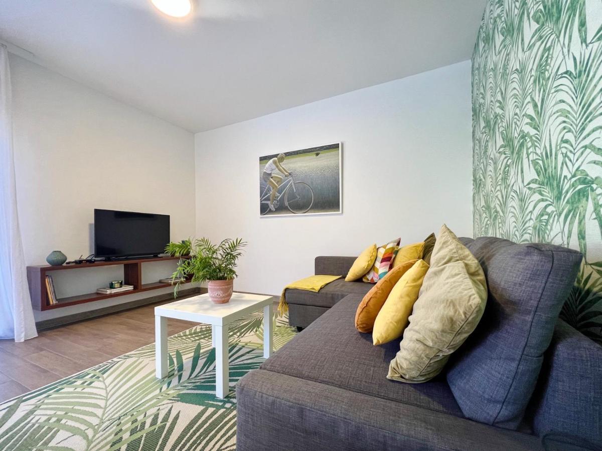 Apartments Teodora Maria Novigrad Istria エクステリア 写真